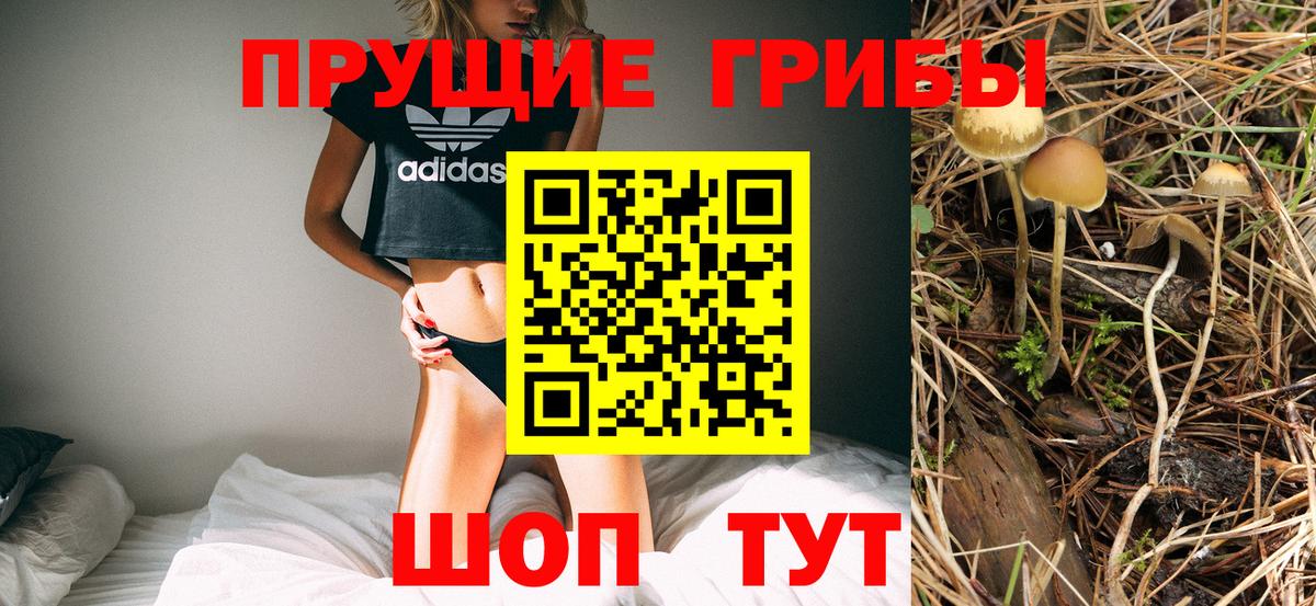 Псилоцибиновые грибы MAGIC MUSHROOMS  Вход с VPN  Омск 